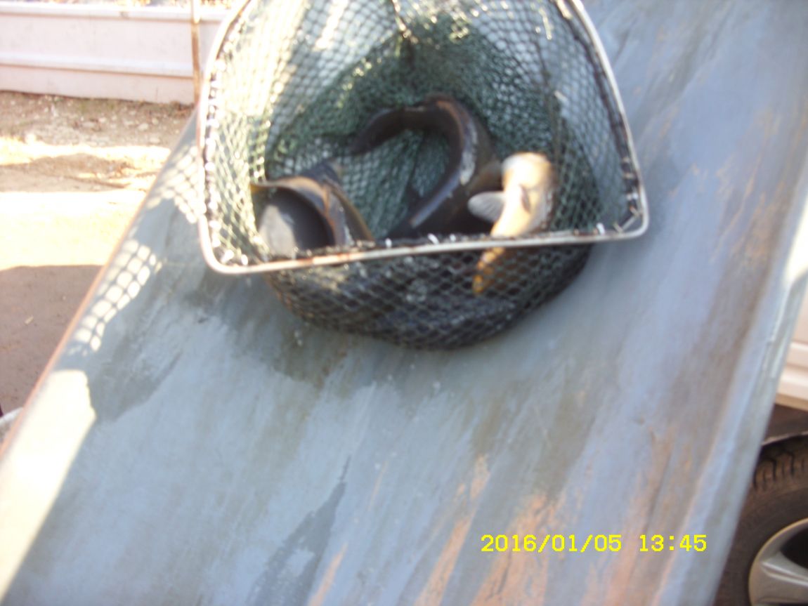 SDC15304.JPG