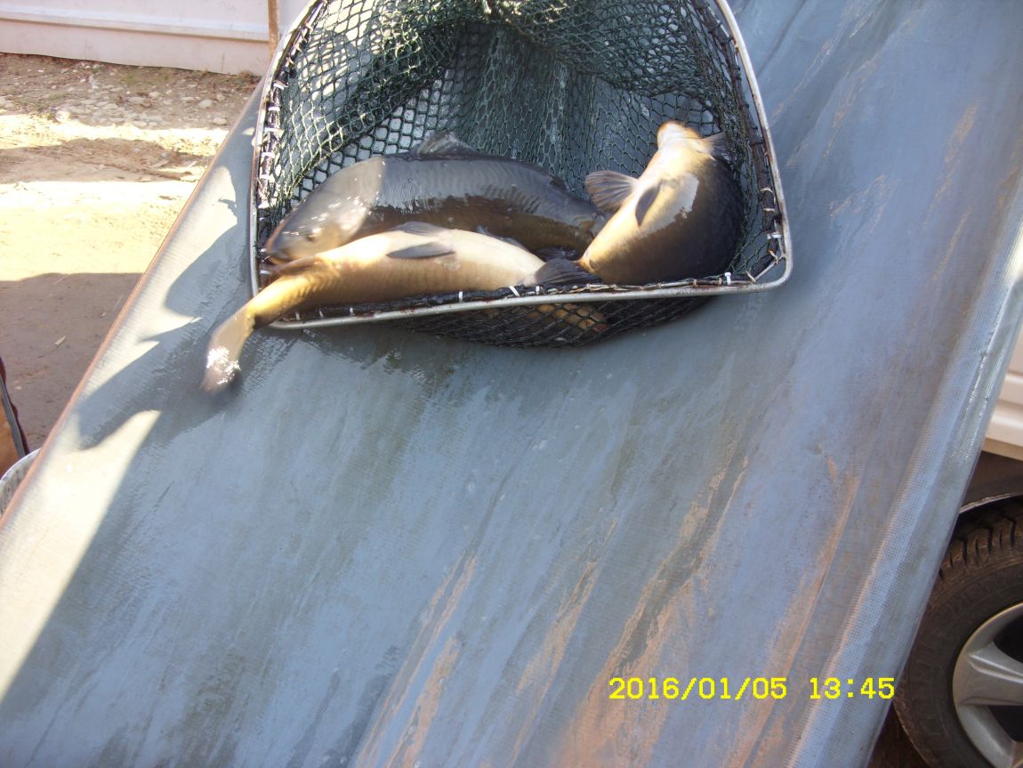 SDC15305.JPG