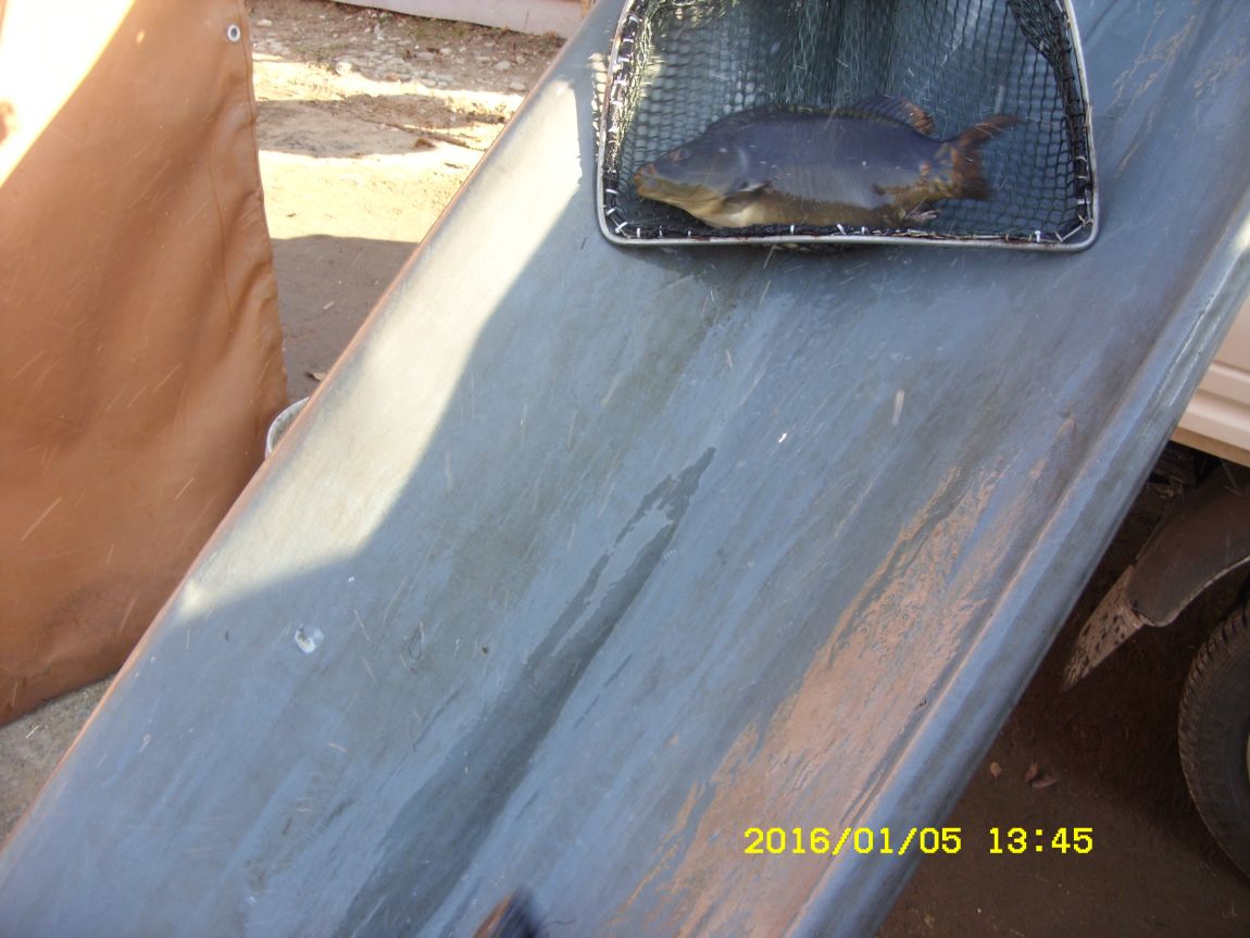 SDC15308.JPG