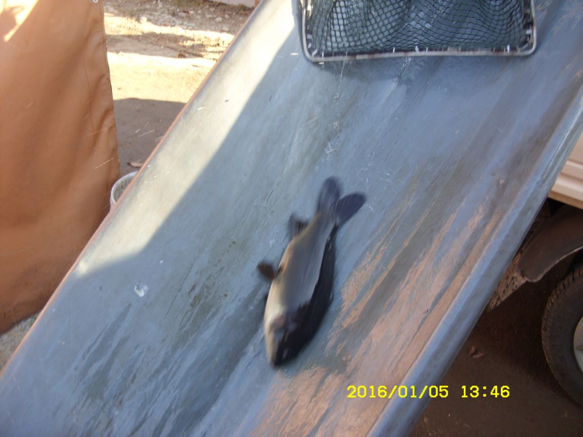 SDC15309.JPG