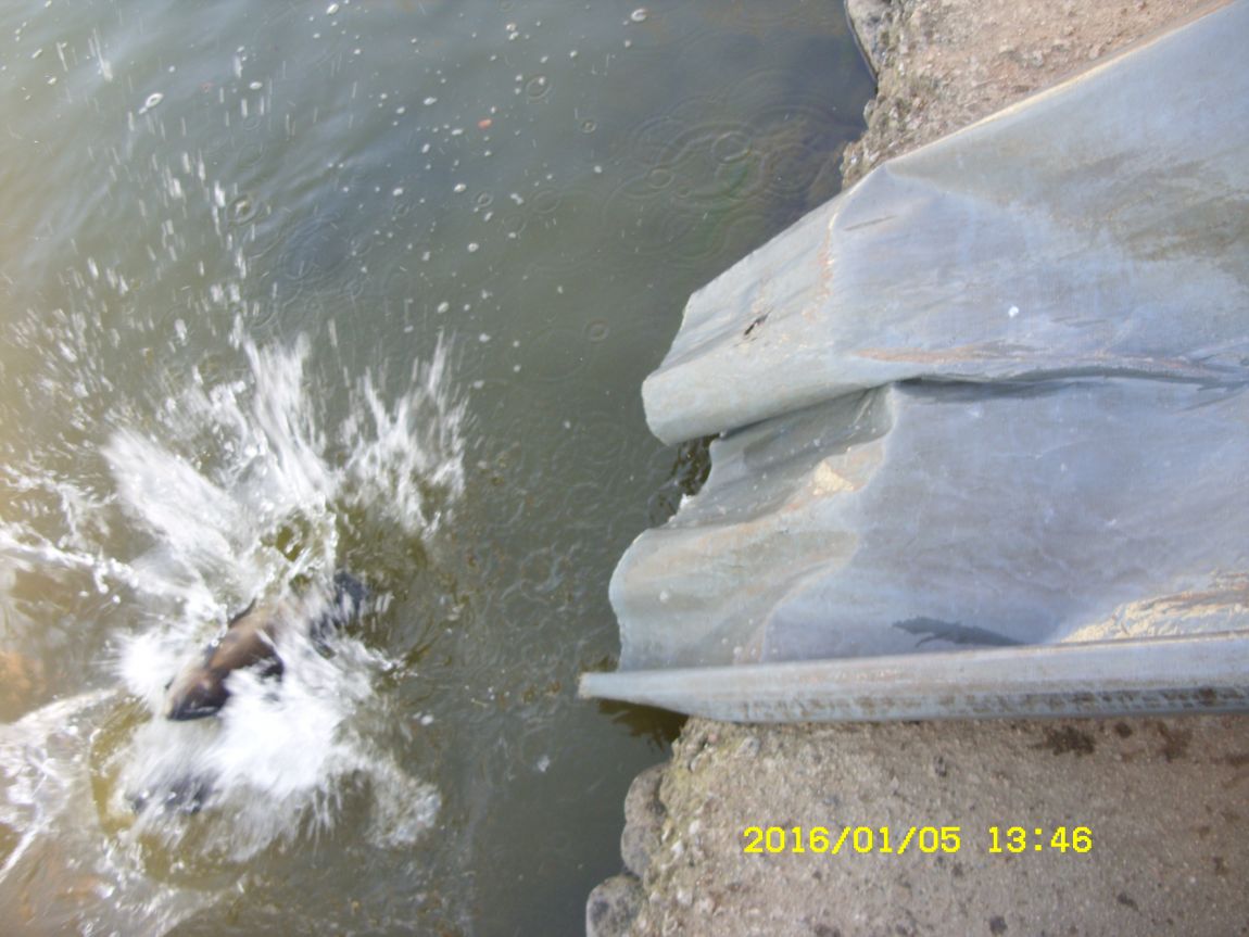 SDC15312.JPG
