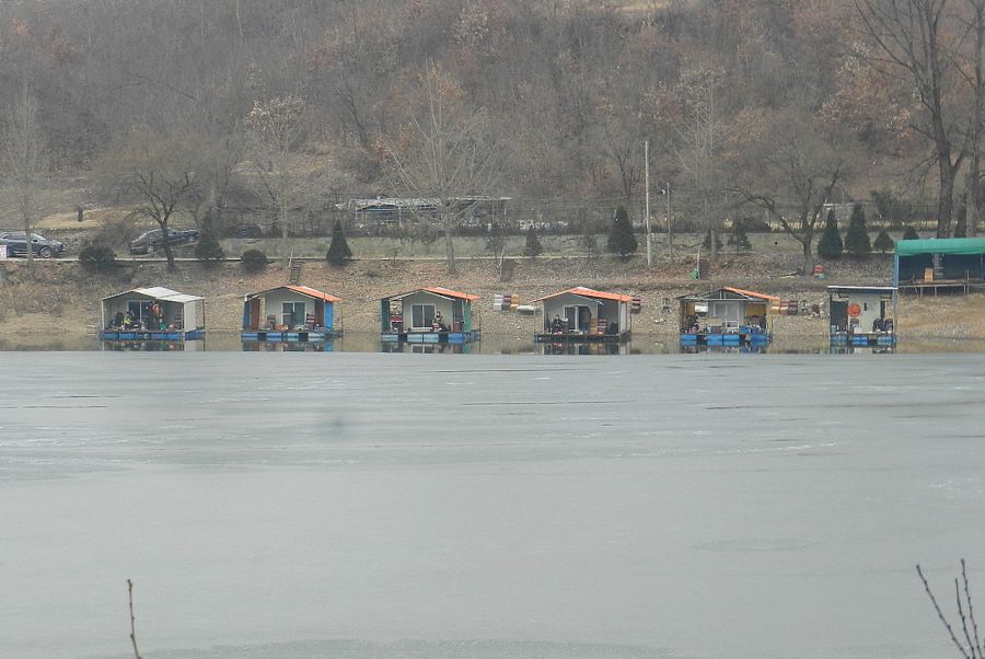 030.JPG