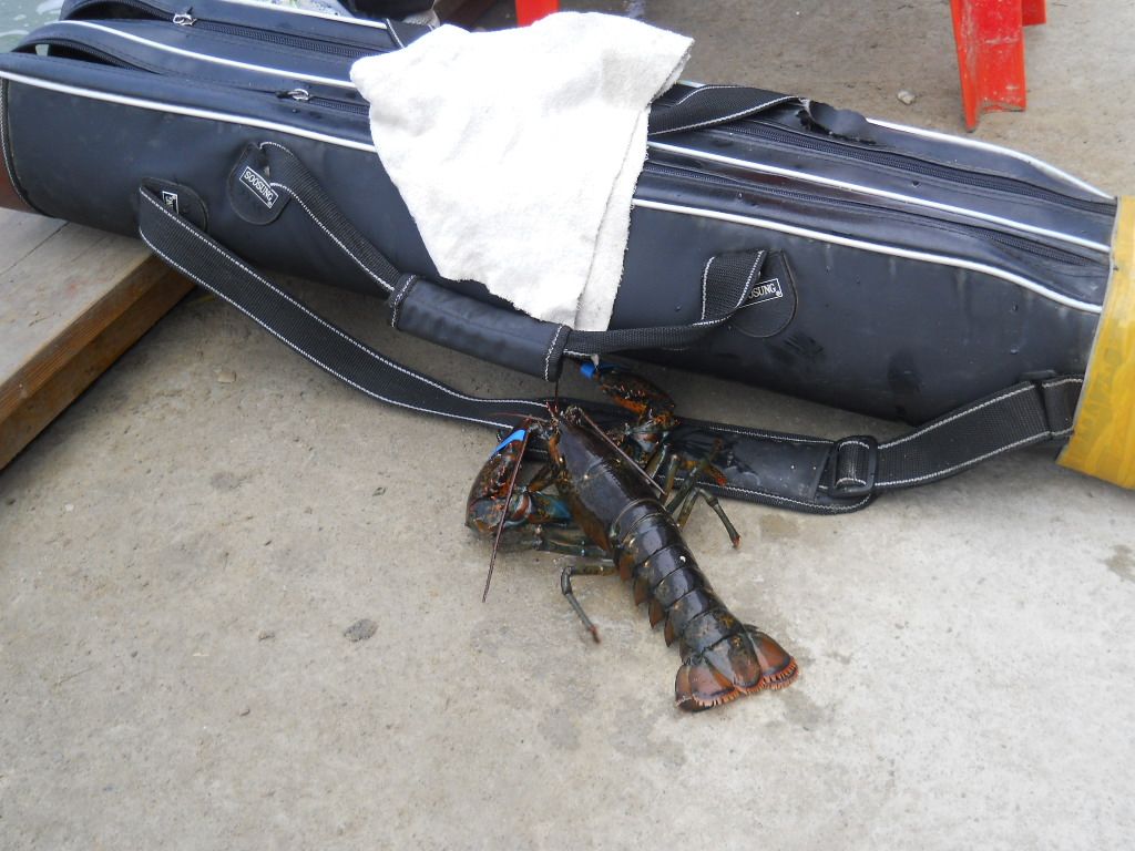 DSCN1233.JPG