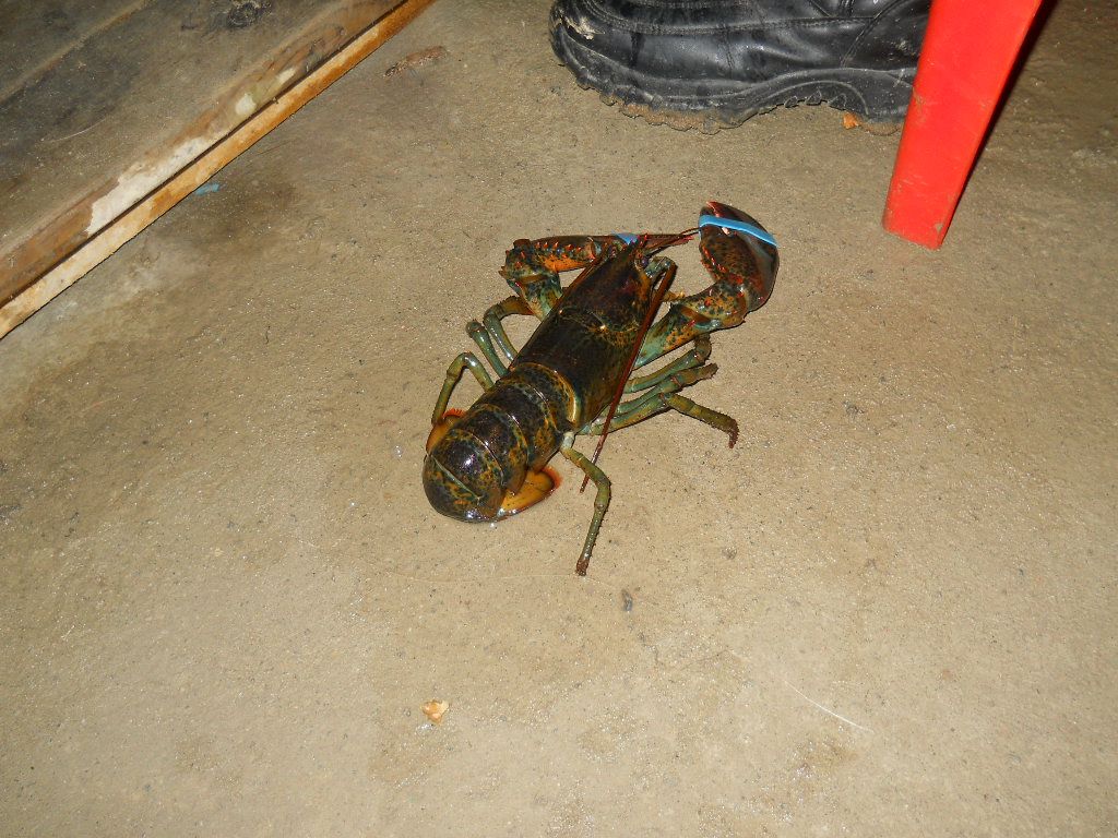 DSCN1232.JPG