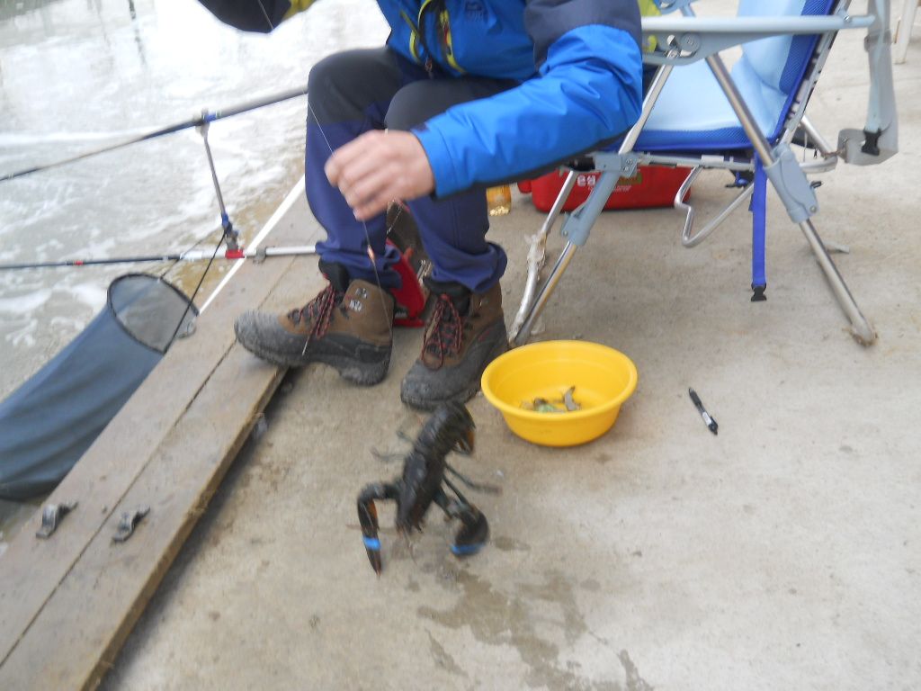 DSCN1234.JPG