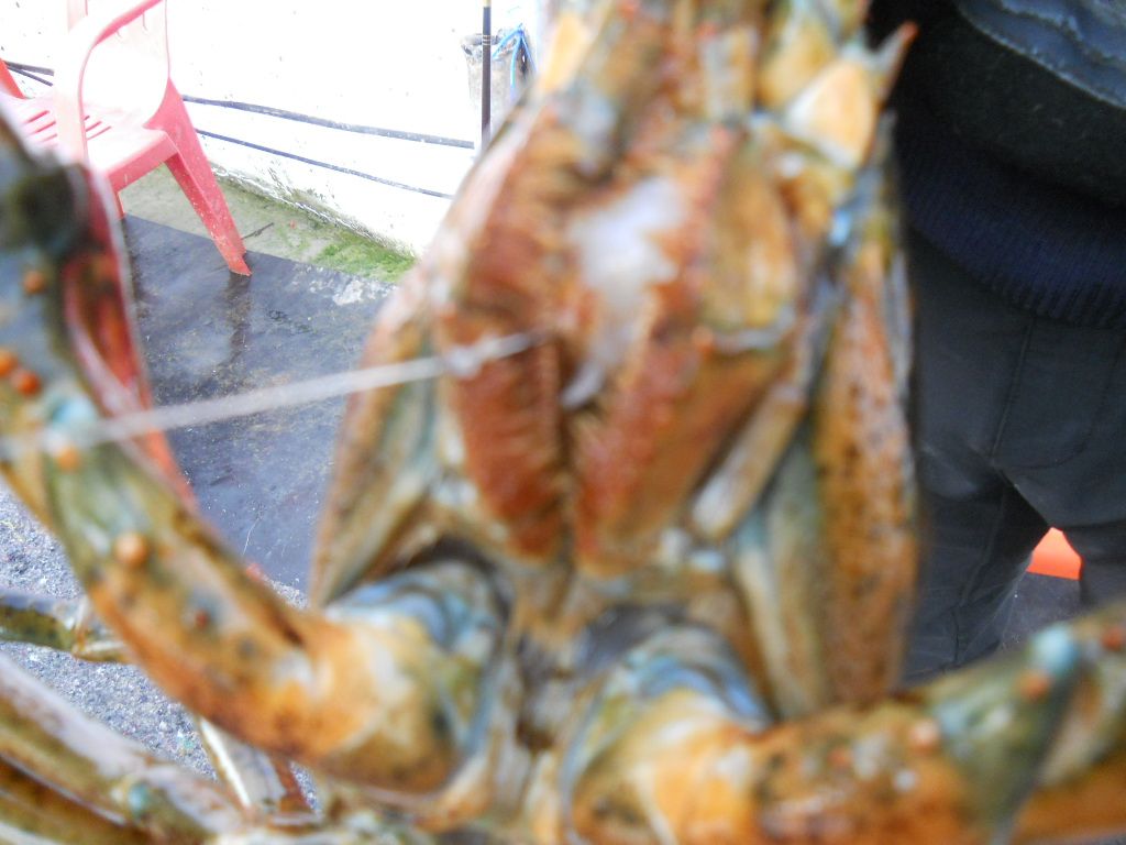 DSCN1236.JPG