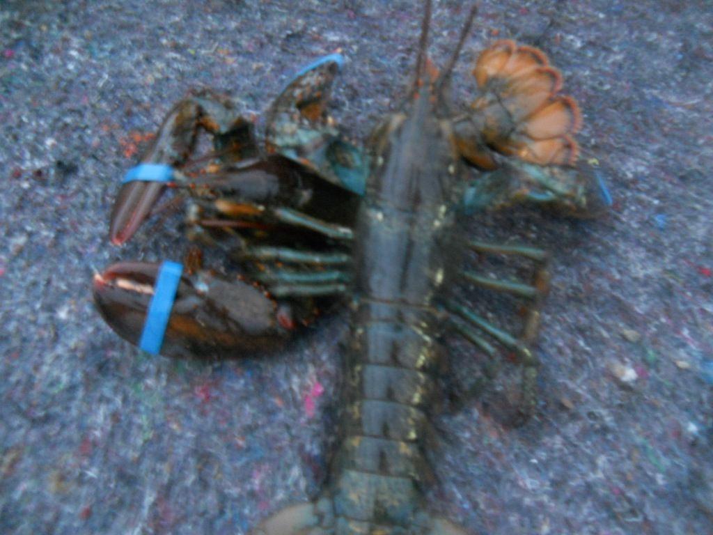 DSCN1244.JPG