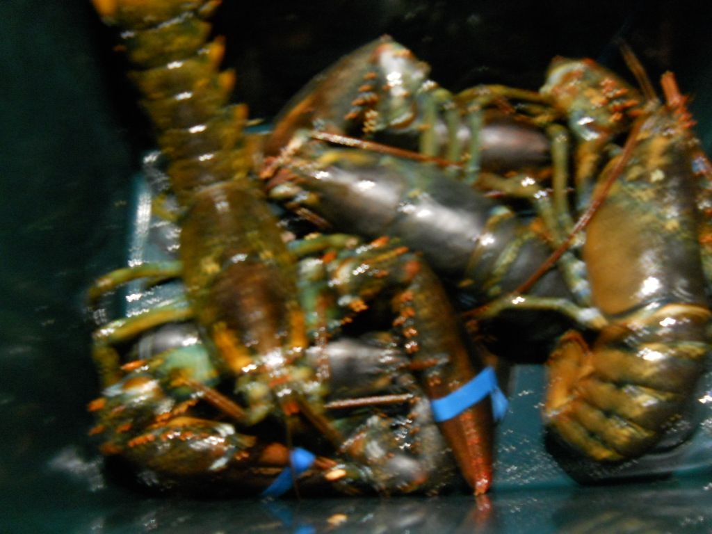 DSCN1249.JPG