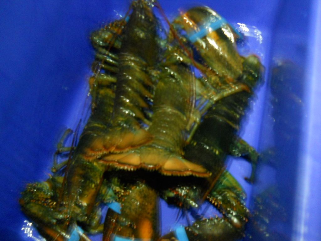 DSCN1254.JPG