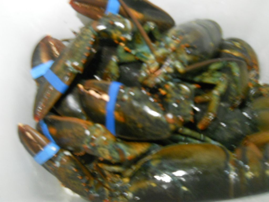 DSCN1255.JPG