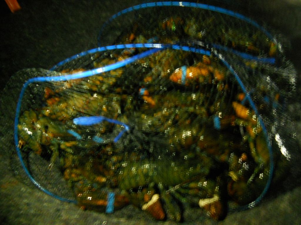 DSCN1256.JPG
