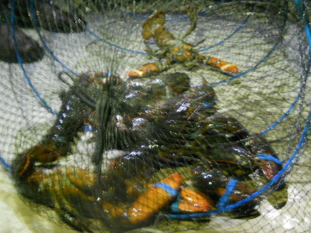 DSCN1259.JPG