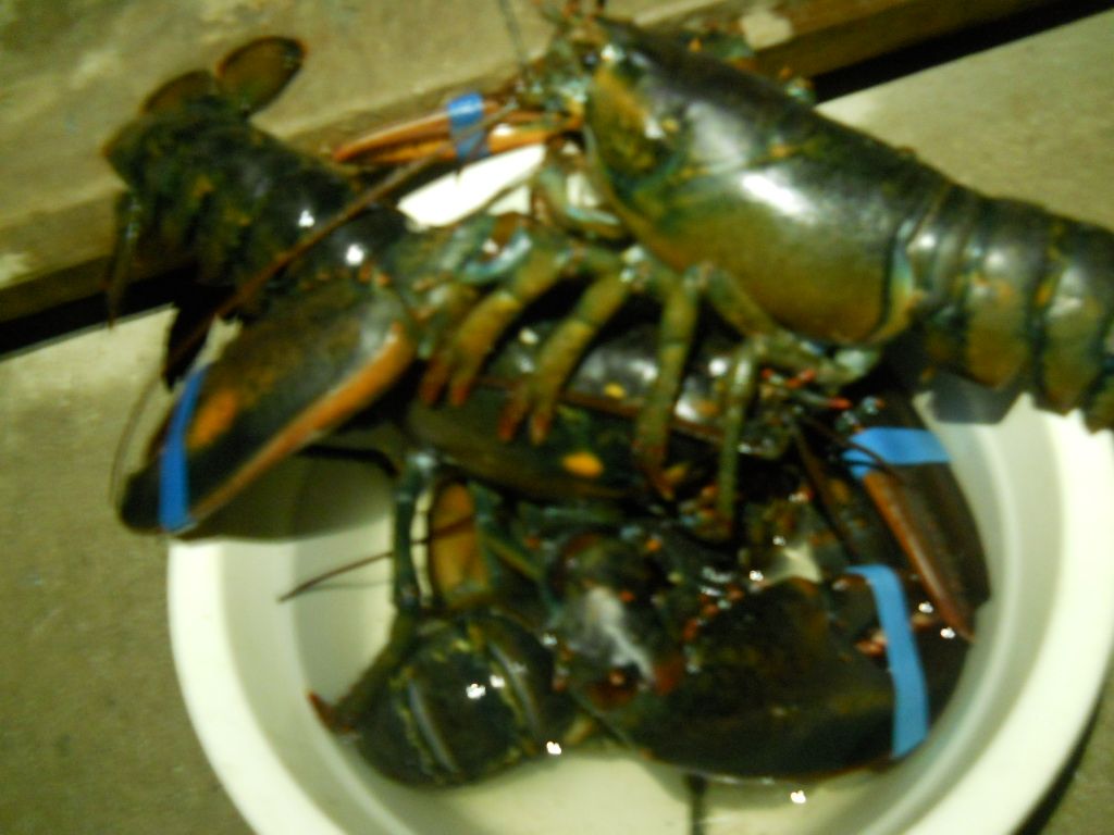 DSCN1258.JPG