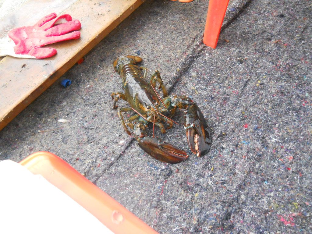 DSCN1267.JPG
