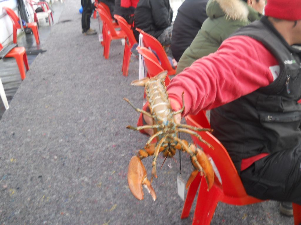 DSCN1268.JPG
