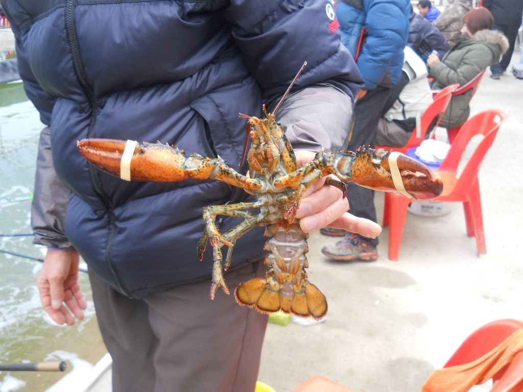 DSCN1270.JPG