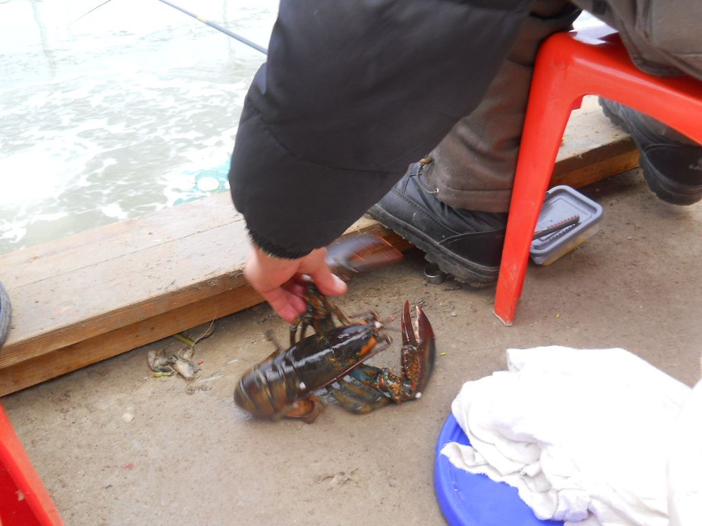 DSCN1272.JPG