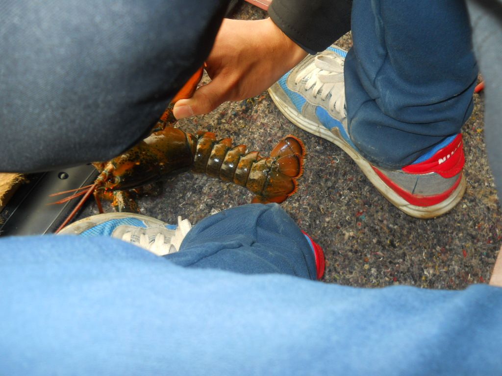 DSCN1275.JPG