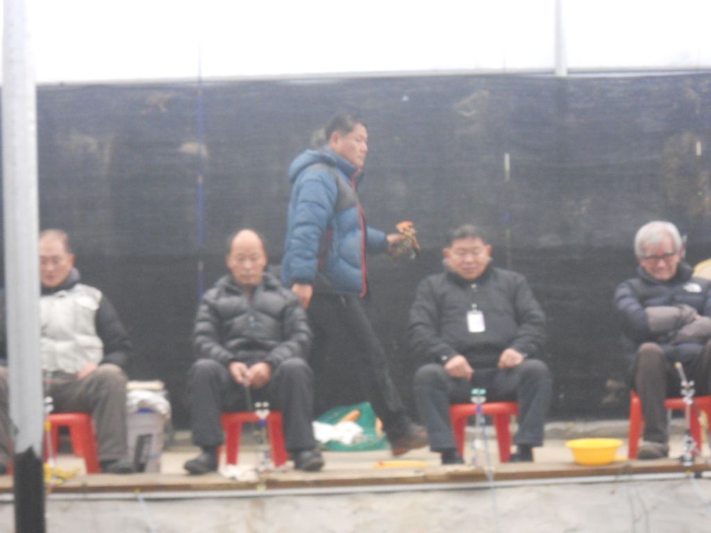 DSCN1278.JPG