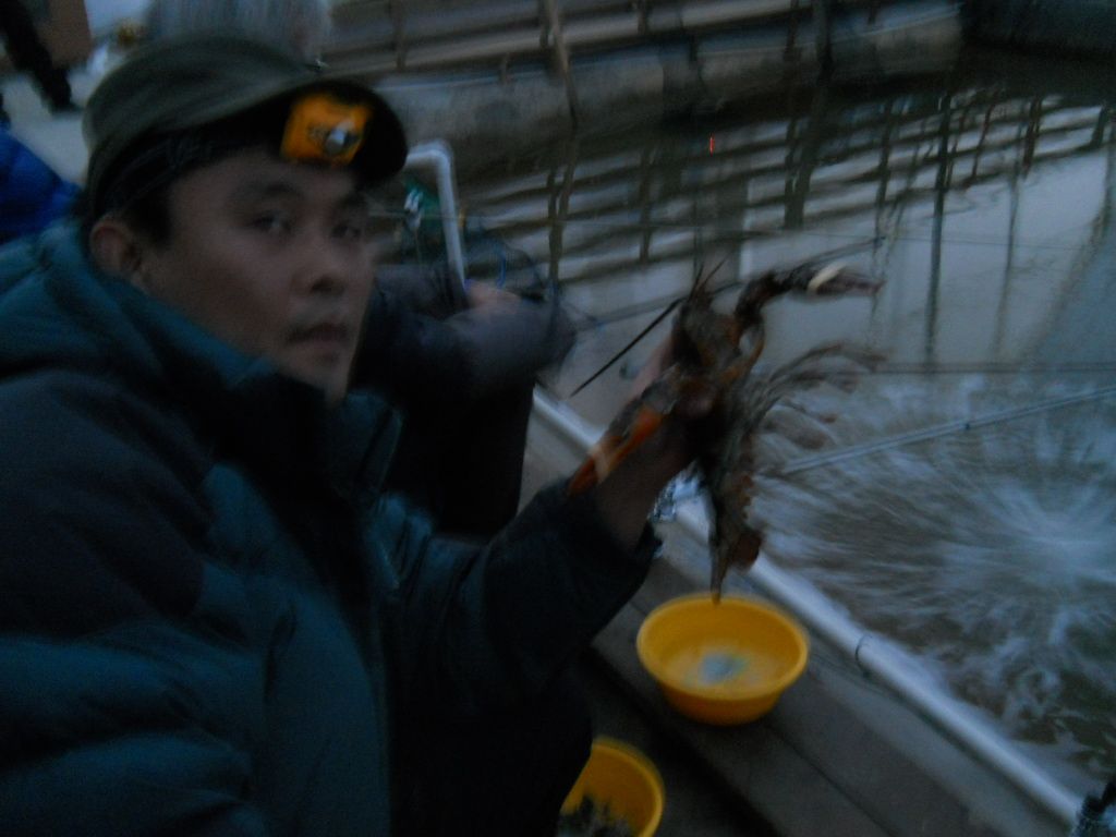 DSCN1285.JPG