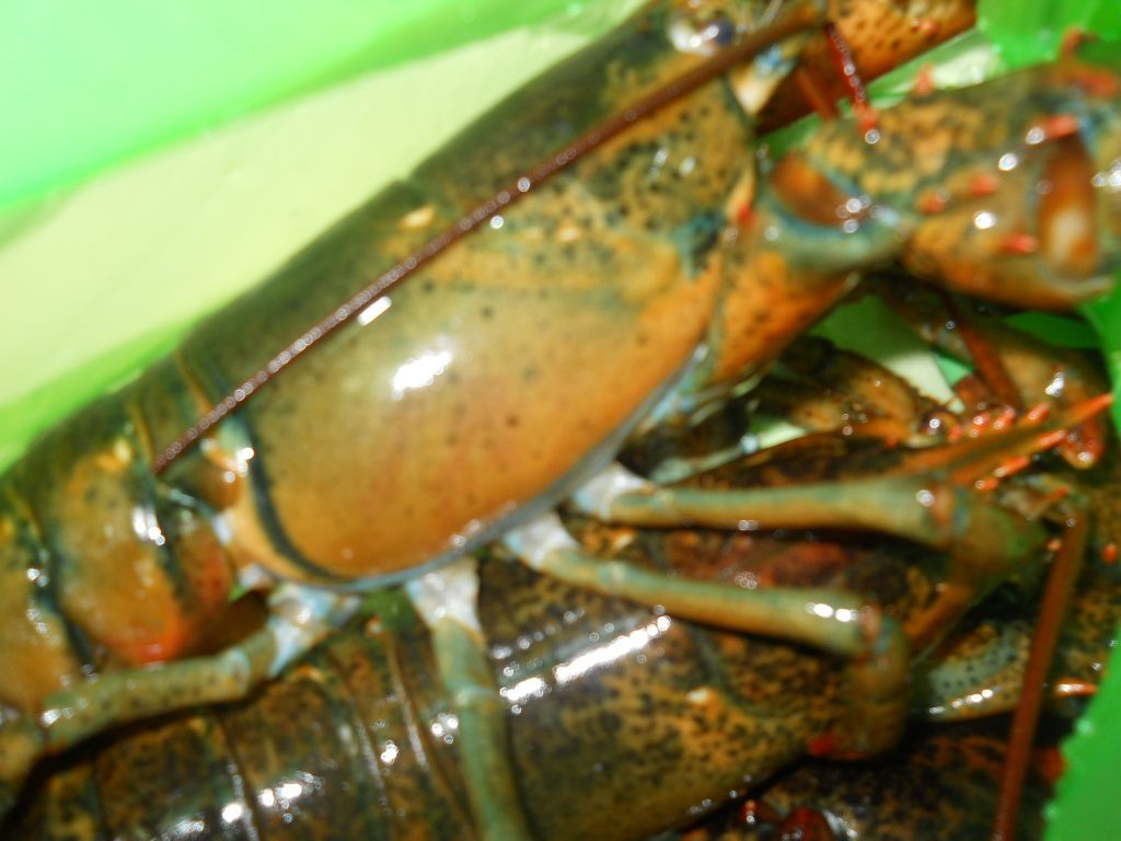DSCN1286.JPG