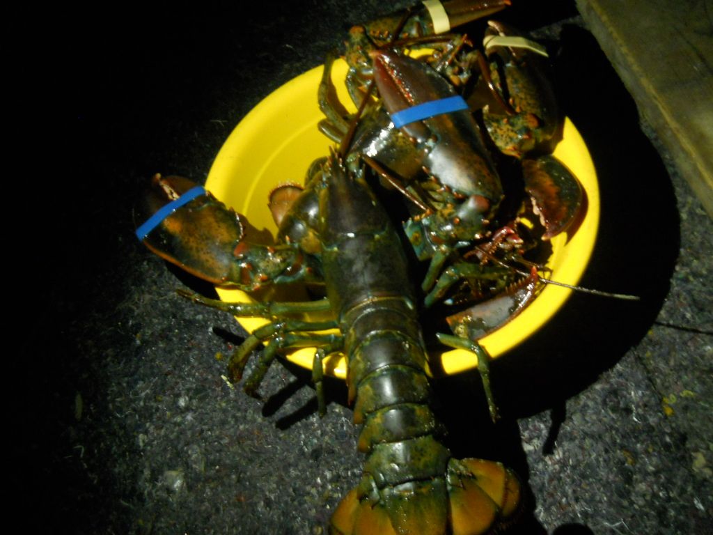 DSCN1287.JPG