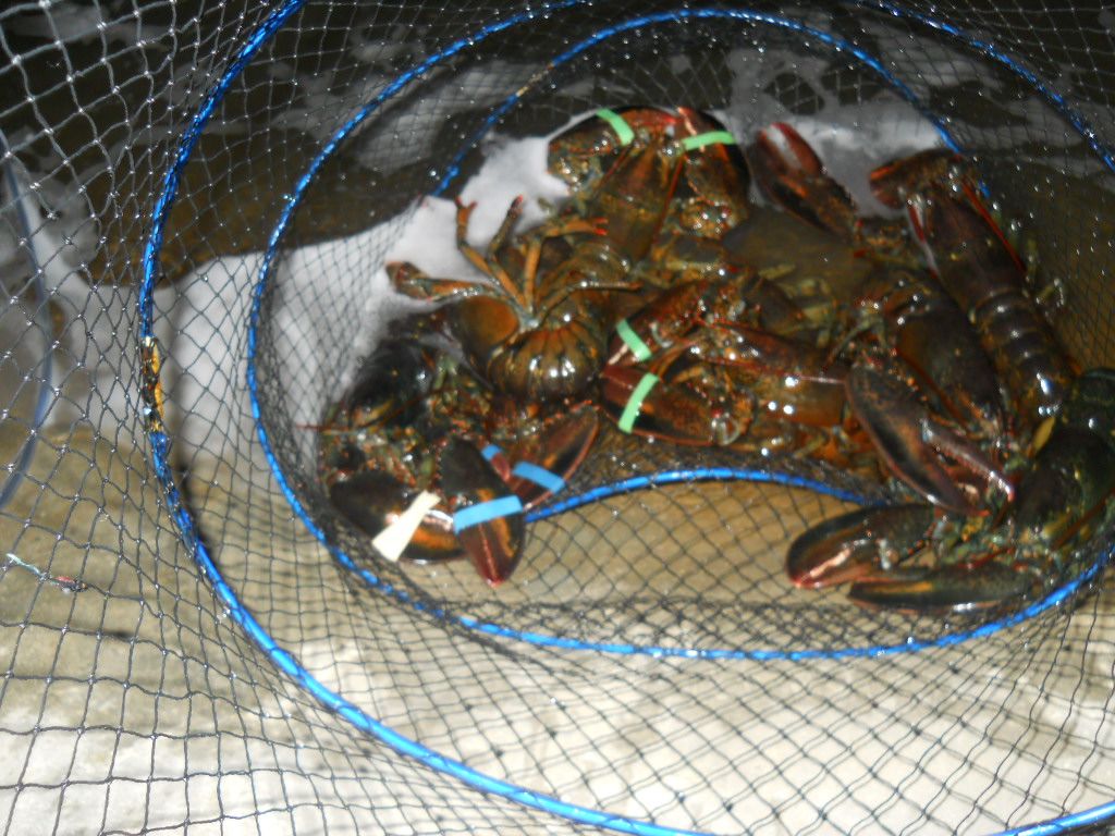 DSCN1290.JPG