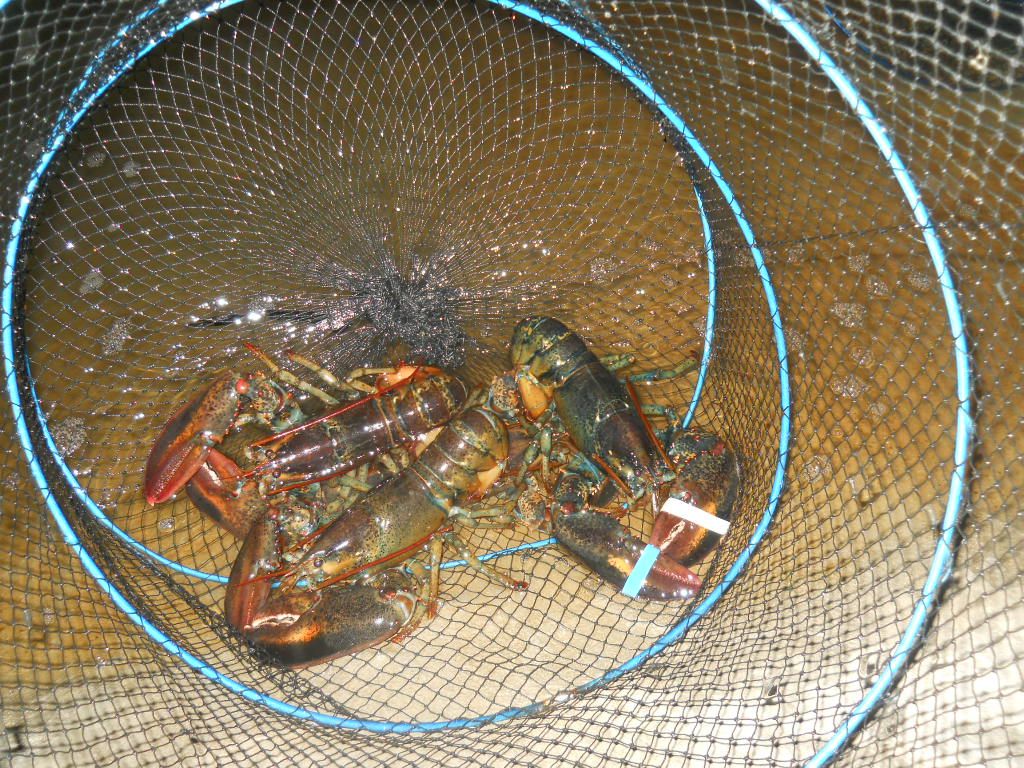DSCN1288.JPG