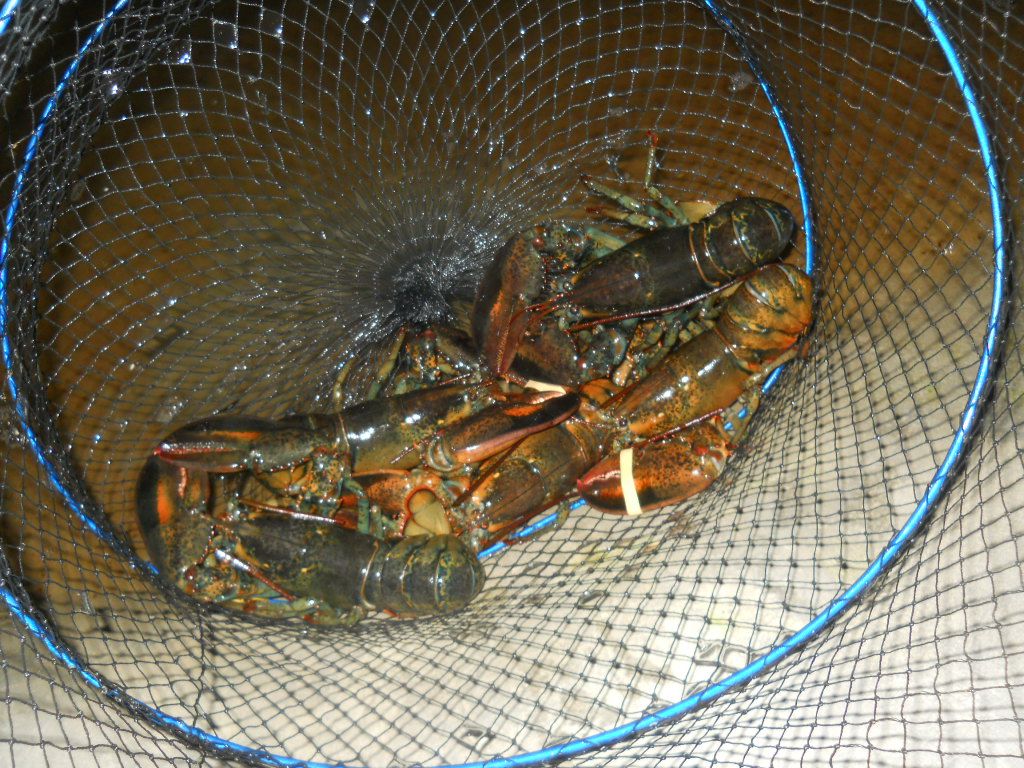 DSCN1291.JPG
