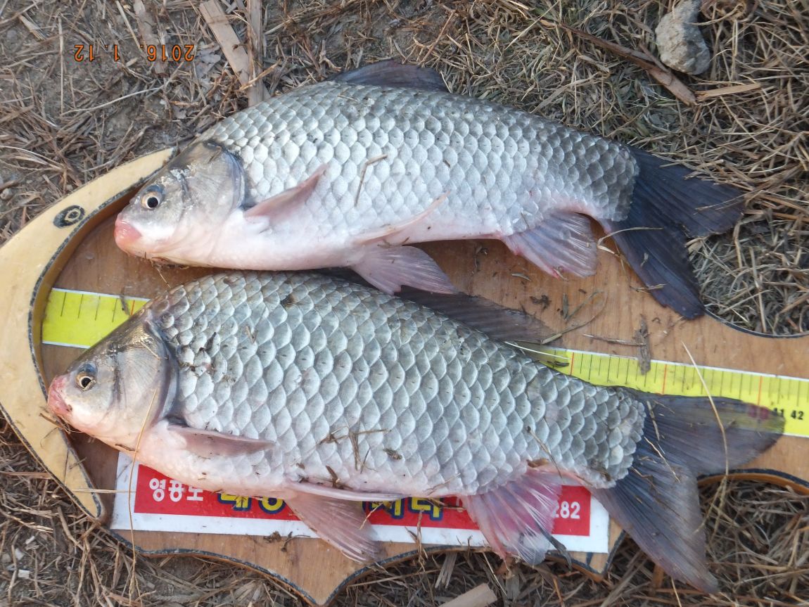 201300703 108.jpg