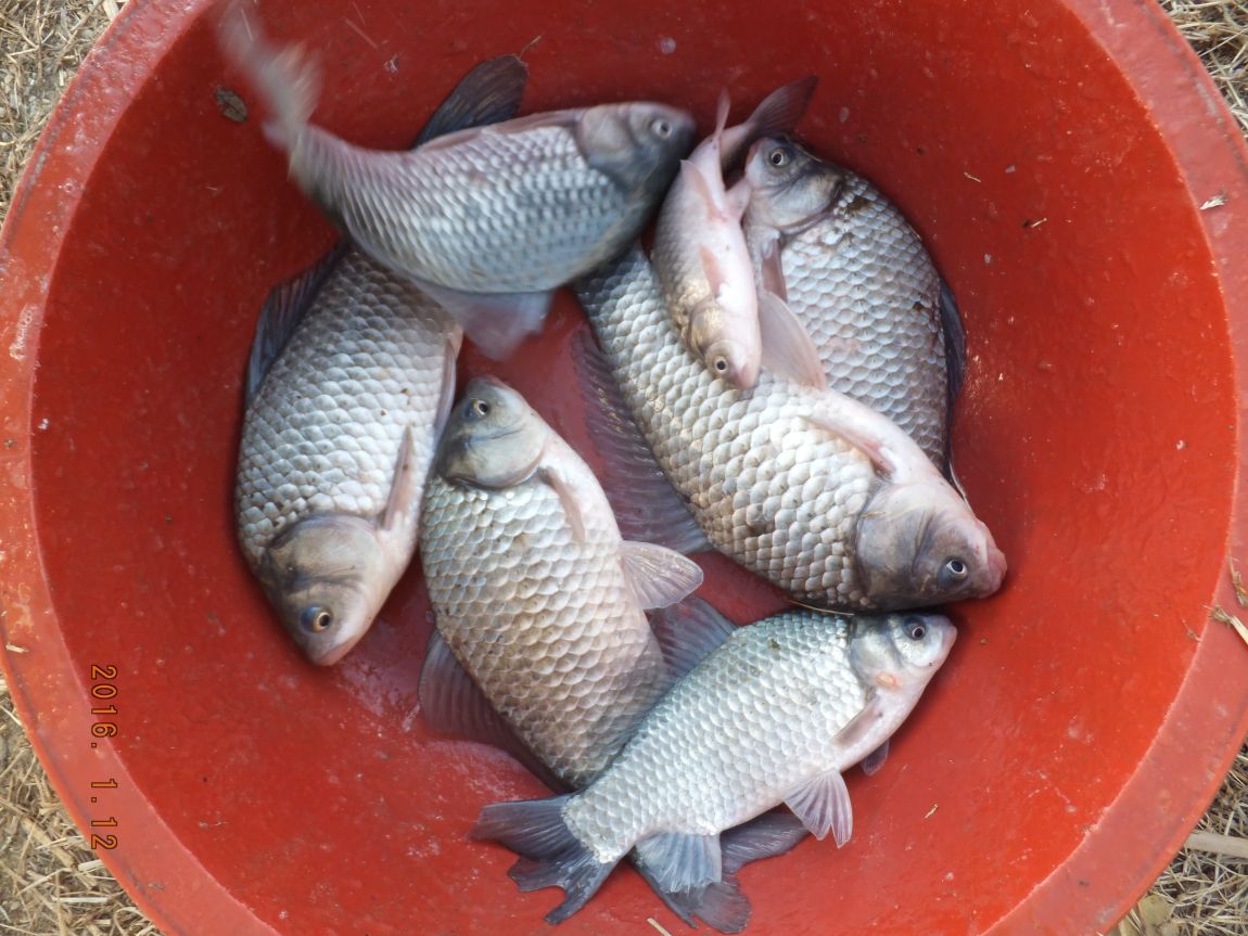 201300703 112.jpg