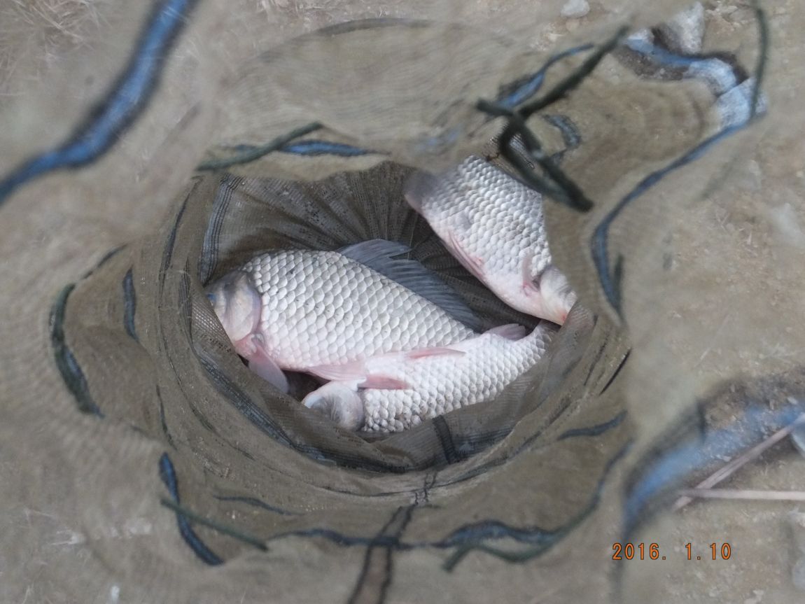 201300703 074.jpg