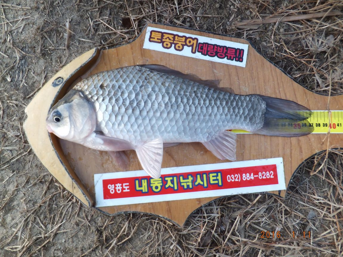 201300703 096.jpg