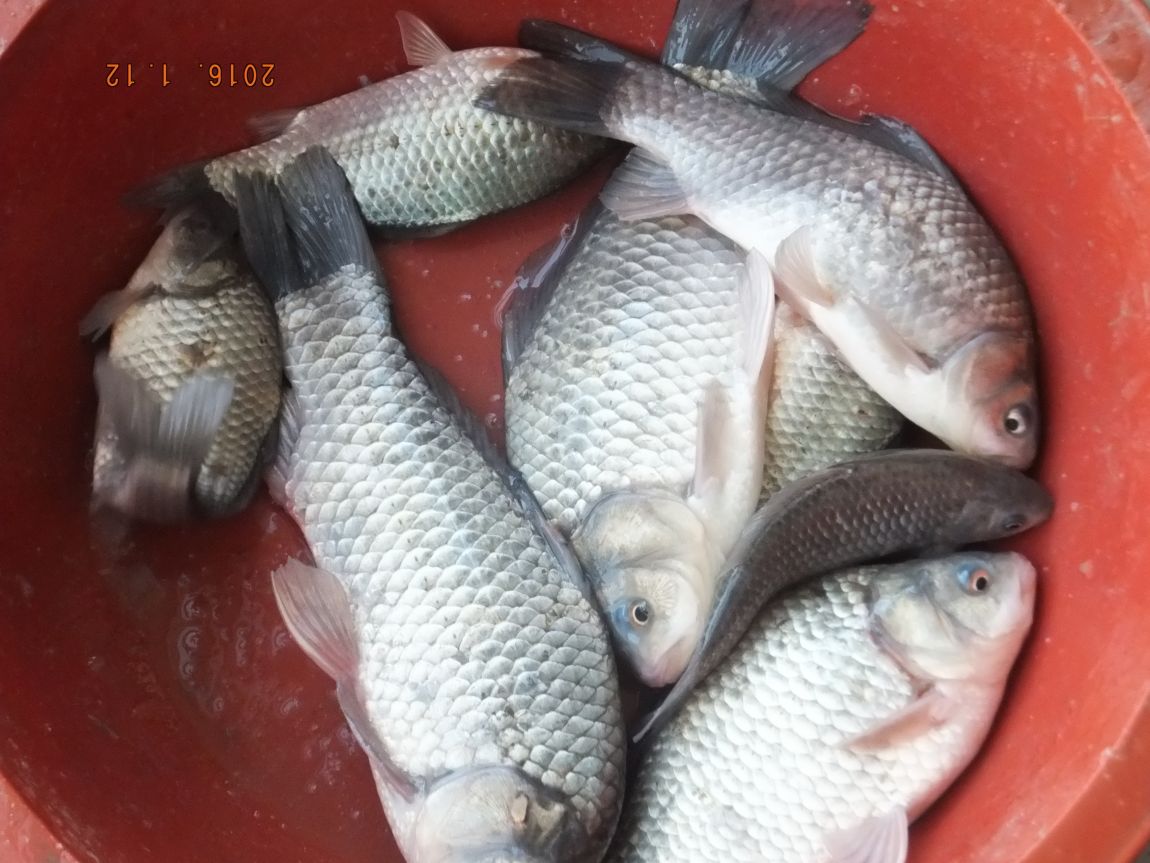 201300703 101.jpg
