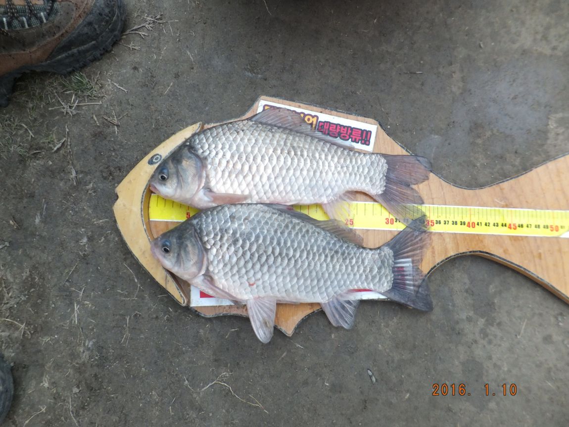201300703 071.jpg