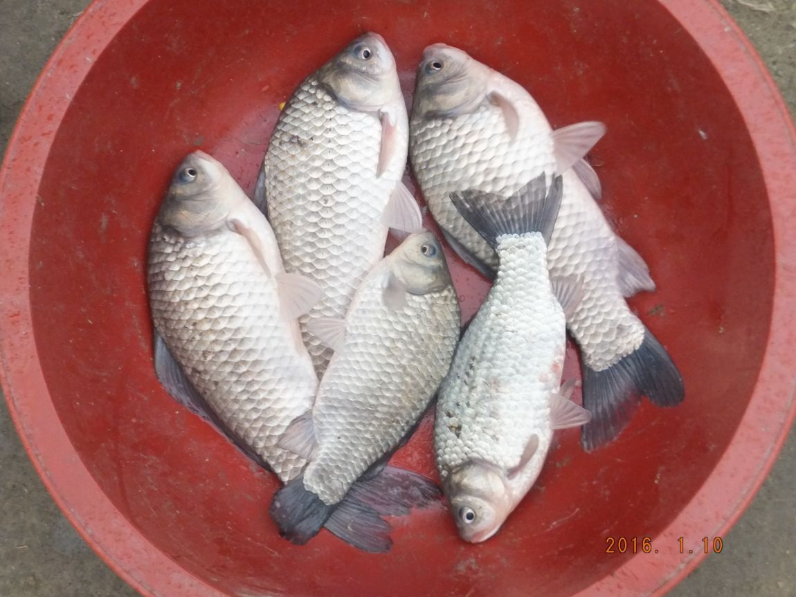 201300703 070.jpg