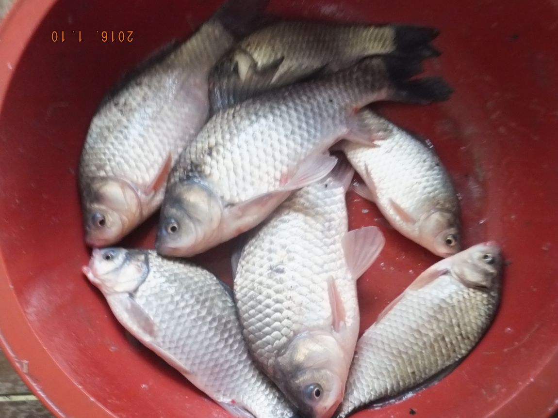 201300703 091.jpg