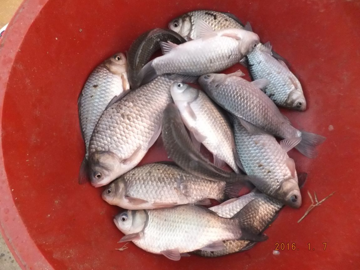201300703 052.jpg