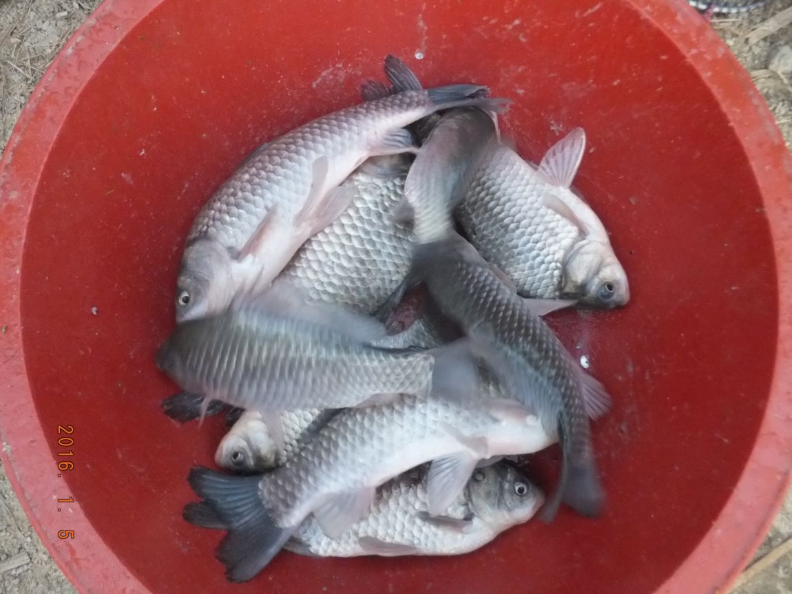 201300703 010.jpg