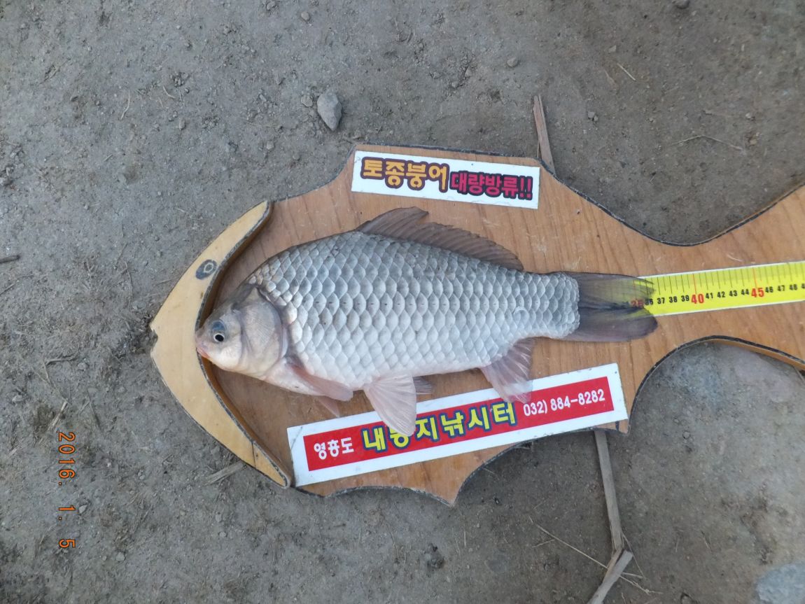 201300703 008.jpg
