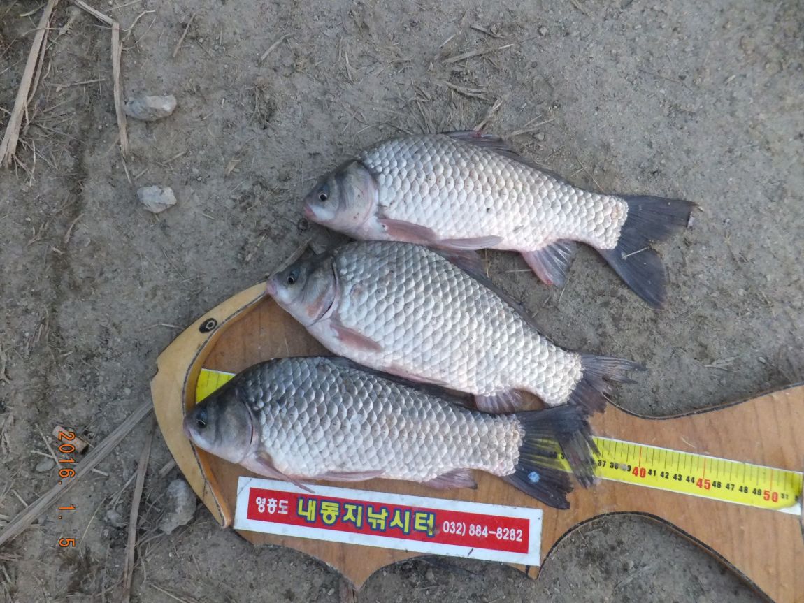 201300703 011.jpg