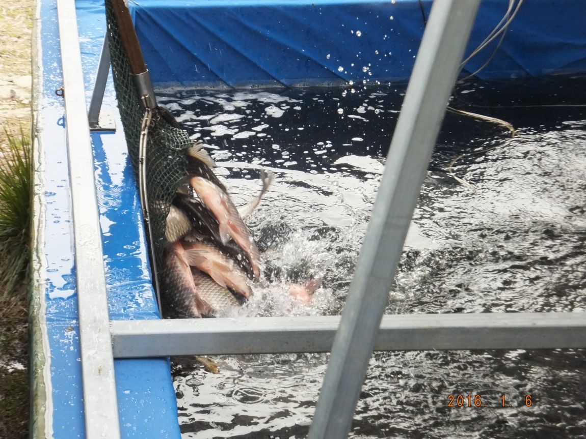 201300703 033.jpg