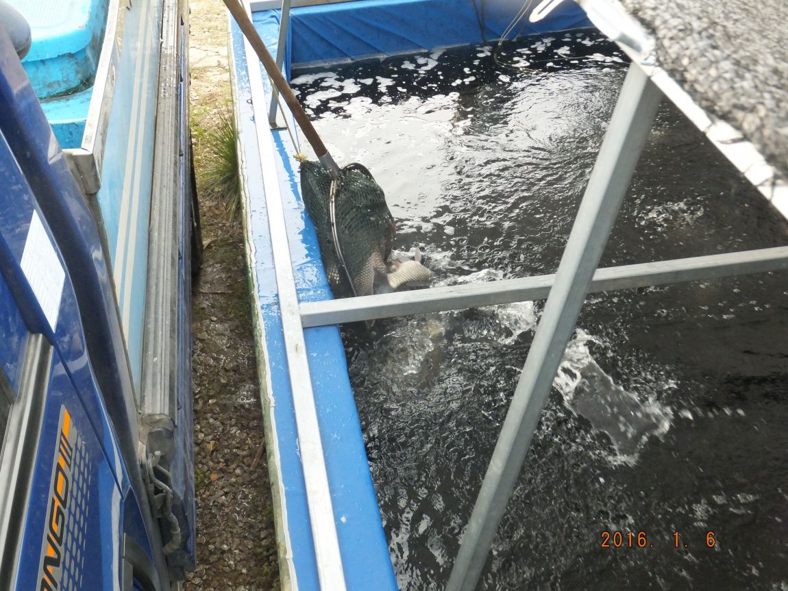 201300703 047.jpg