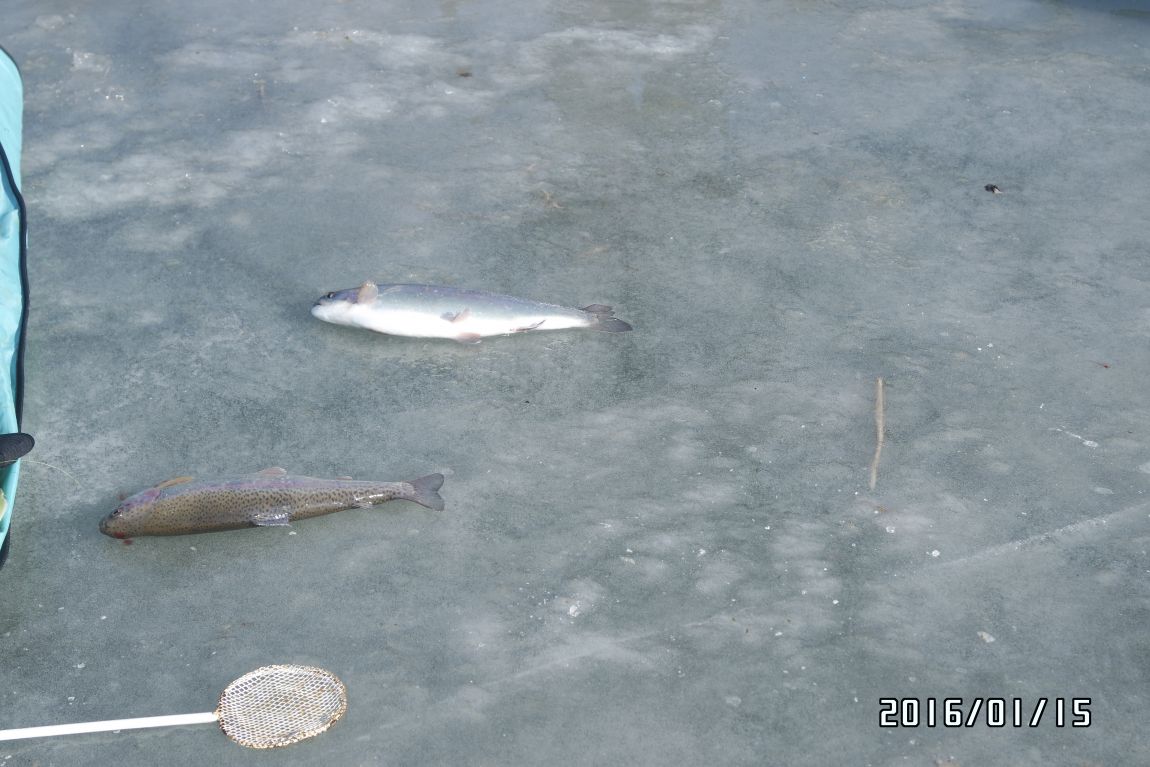 _SAM0563.JPG
