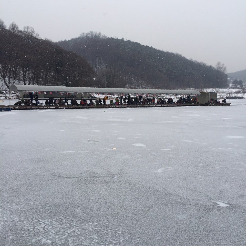 KakaoTalk_20160116_175628707.jpg