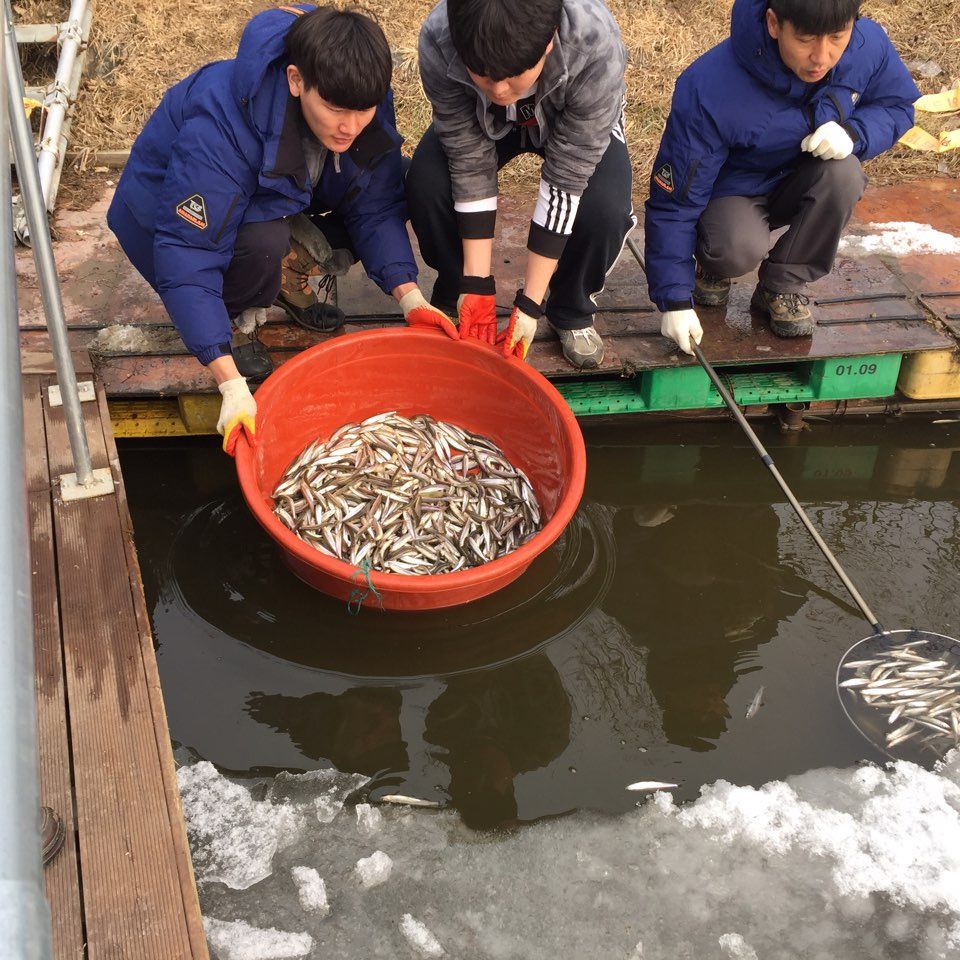 KakaoTalk_20160116_175624176.jpg