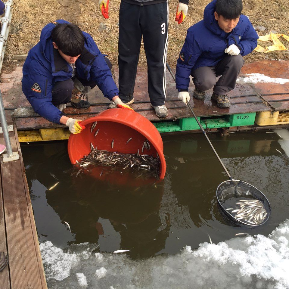 KakaoTalk_20160116_175622717.jpg
