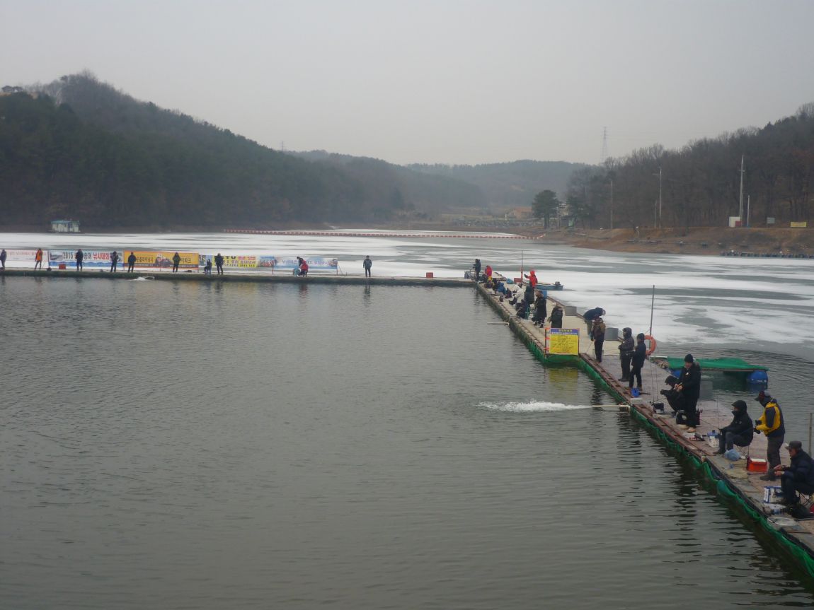 P1050530.JPG