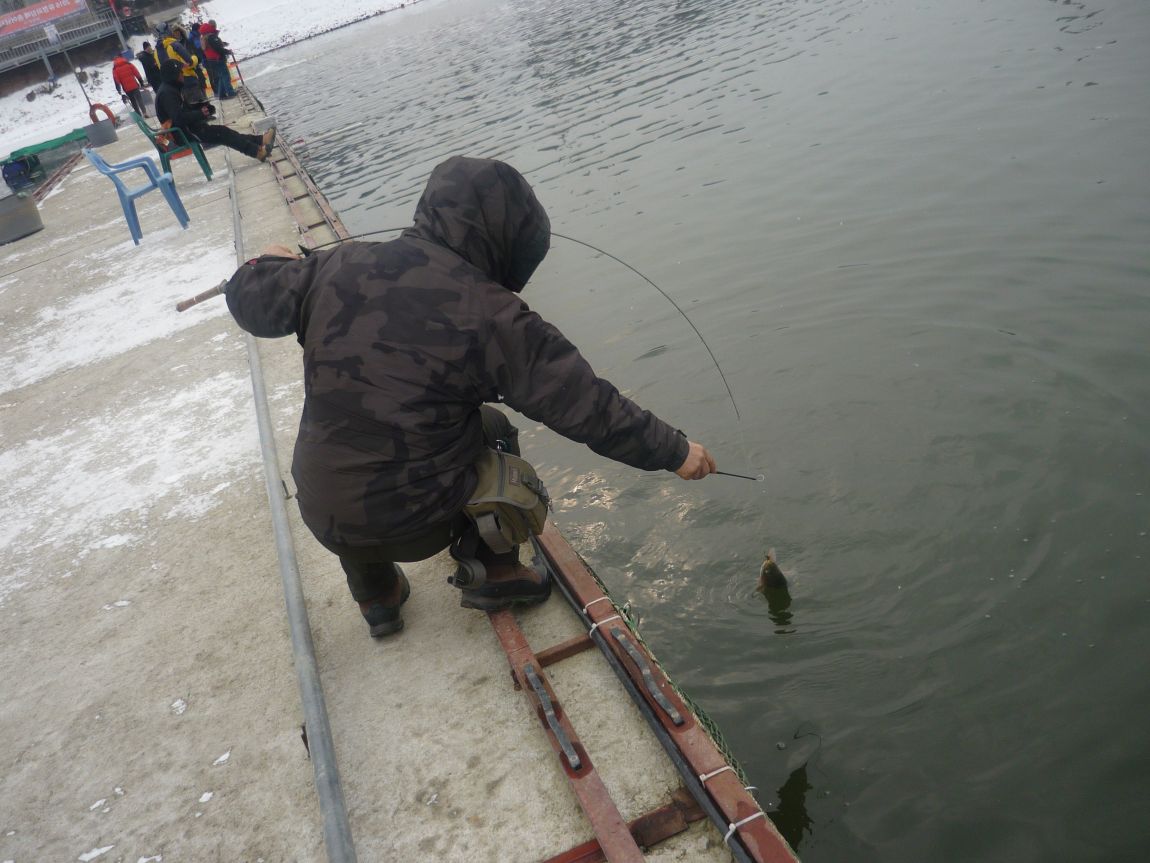 P1050516.JPG