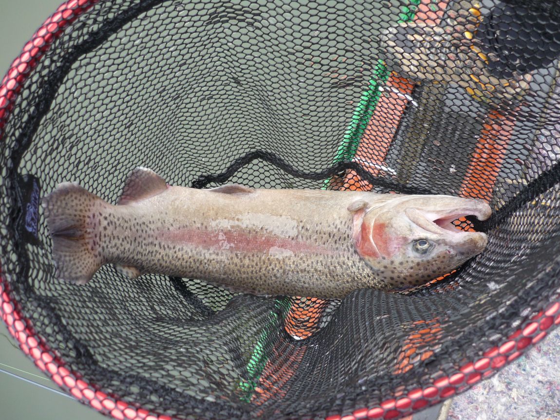 P1050480.JPG